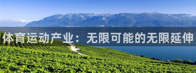 J9官网下载平台APP:体育运动产业:无限可能的无限延伸
