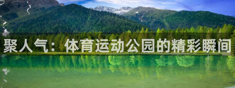 J9官方正版app代理:聚人气:体育运动公园的精彩瞬间