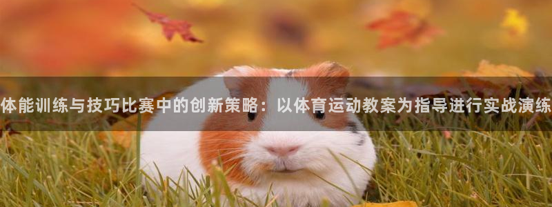 J9官方正版app娱乐代理怎么样:体能训练与技巧比赛中的创新